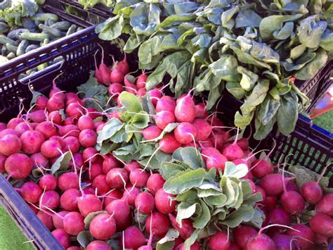 Top 11 Farmers Markets in Denver