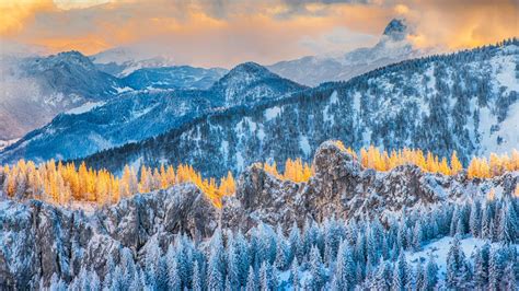 Bing Wallpaper Germany 的图像结果