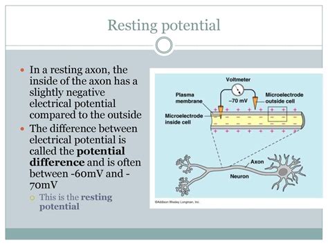 Potential Negative 的图像结果