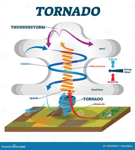 Tornado Vector Illustration. Labeled Educational Wind Vortex Explanation Stock Vector ...