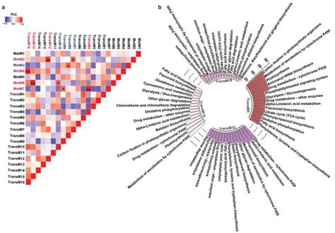 Gene-Metabolite Network Analysis Revealed Tissue-Specific Accumulation ...