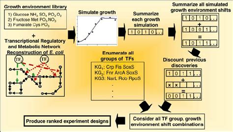 Algorithm CompSci 的图像结果