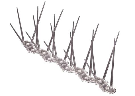 Pigeon Spikes 的图像结果