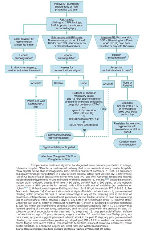 Pulmonary Embolism Algorithm 的图像结果