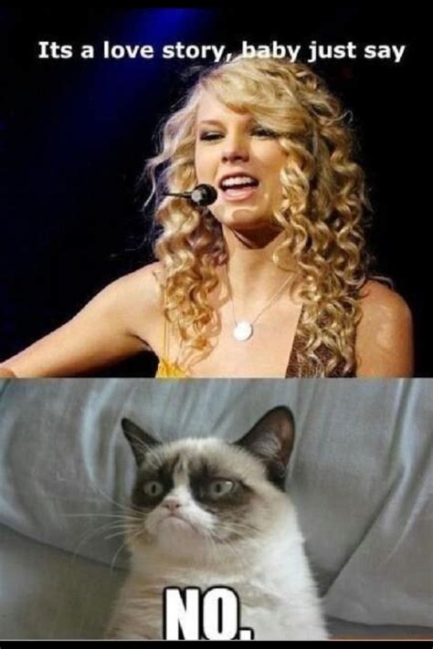Pin by Cassie Heitman on Just Sayin | Funny grumpy cat memes, Grumpy ...