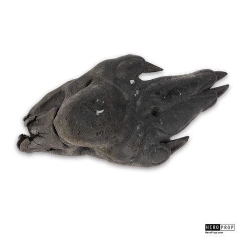 Image result for Alien Foot Real