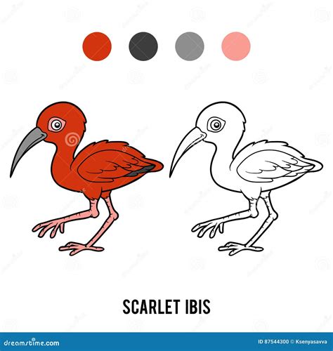Scarlet Ibis Bird Hand Draw Watercolor Illustration Royalty-Free Cartoon | CartoonDealer.com ...