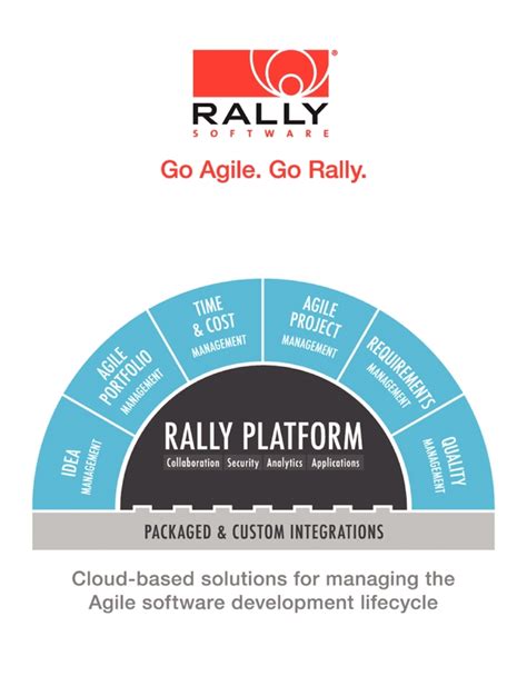 Rally Software Tutorial 的图像结果