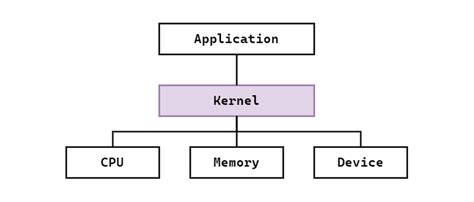 Kernel and Shell 的图像结果