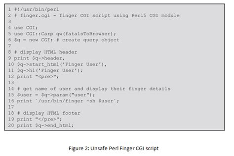 Image result for CGI Perl Script