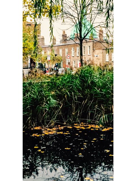 Rathgar, Dublin Vacation Rentals: house rentals & more | Vrbo