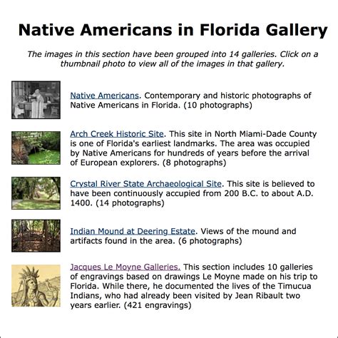 Cherokee Native American In Florida