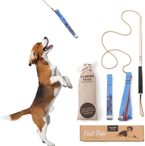 Amazon.com : Flirt Pole for Dogs - Extendable Dog Flirt Pole with ...