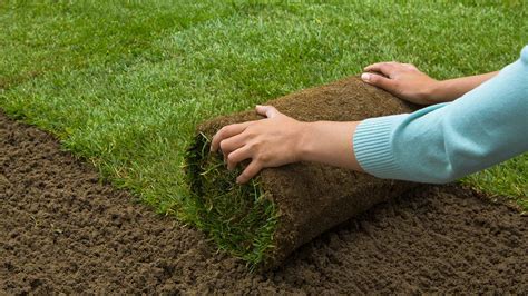 How Much Does Grass Sod Cost - Prices & Installation