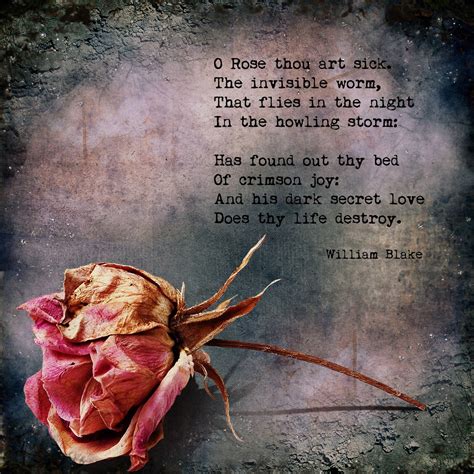 William Blake - The Sick Rose