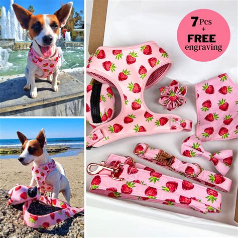 Adjustable Strawberries Dog Harness Leash Set, Personalized Pink Dog ...