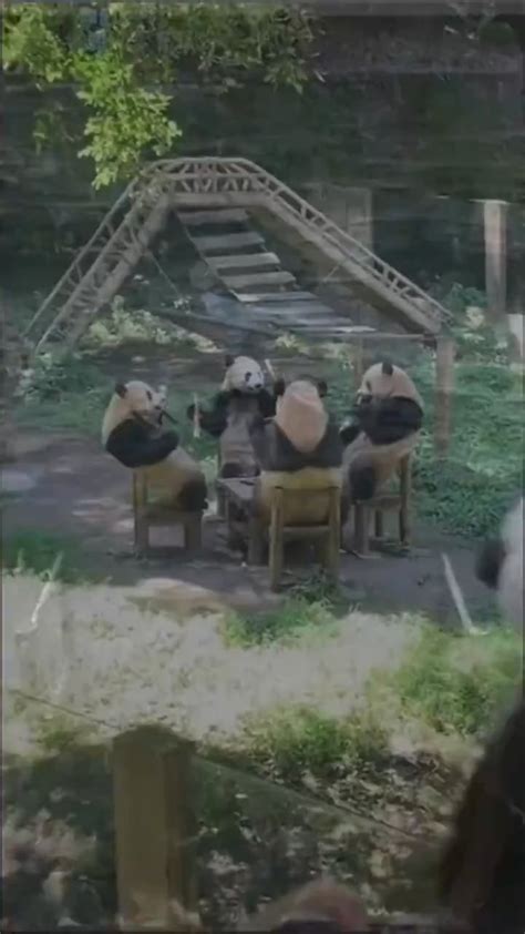 Party Is Right 的图像结果