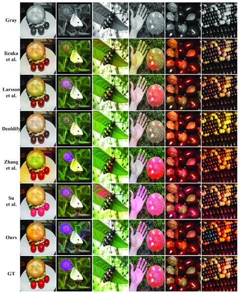 Image result for Colorization Demos