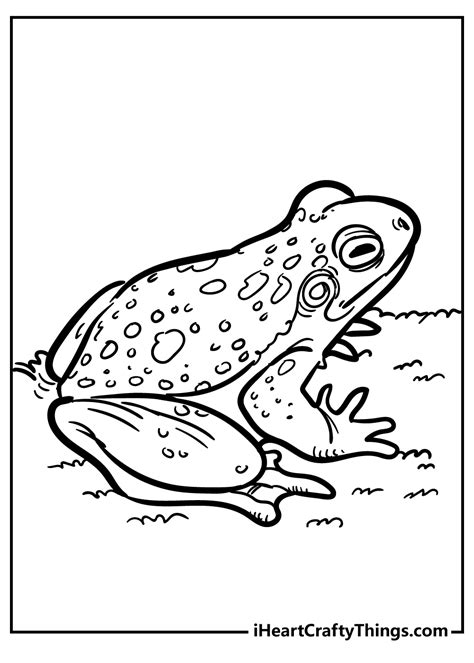 Image result for Deep and Shallow Copy in Python