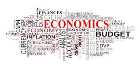 Economics Using Python 的图像结果