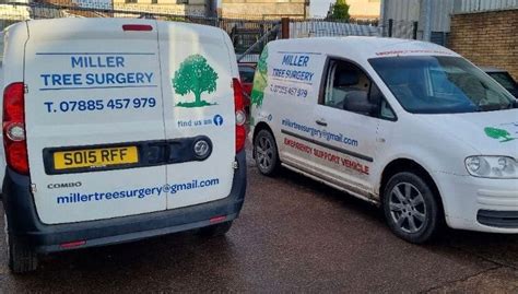 Jim Miller Tree Surgery , Kingston Road, Glasgow, UK, Barrhead, 24 May ...