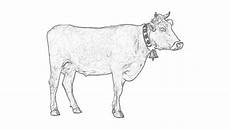 malvorlagen tiere kuh malvorlagen kuh malvorlagen tiere kuh malvorlagen kuh