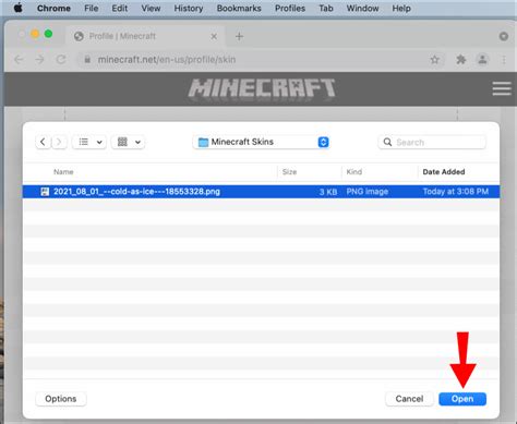 Image result for How to Get Minecraft Skins Java PC