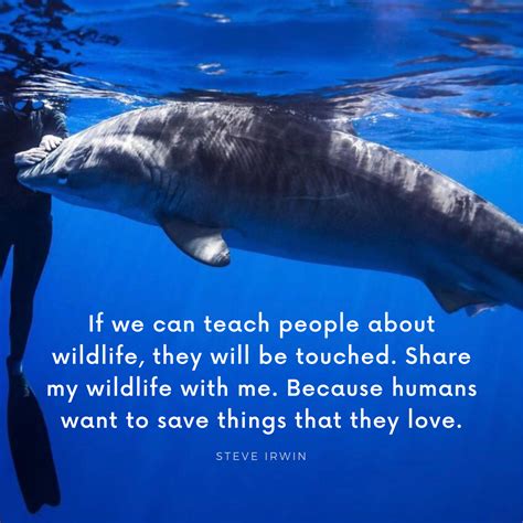 Steve Irwin Quote - Save the Ocean and Wildlife