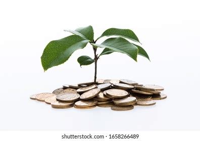 Finance White Background 的图像结果