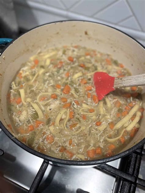 Hearty Chicken Noodle Soup | The Stuffed Grape Leaf