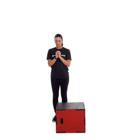 Dumbbell Leg Raise - Trainwell