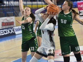 melbasket.com