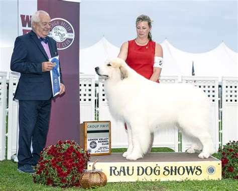 Rau Dog Show