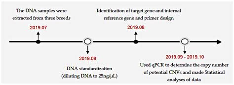 Copy Number Variation of the PIGY Gene in Sheep and Its Association ...