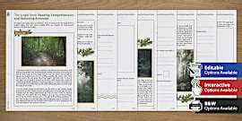 ‘The Jungle Book’ Reading Comprehension - Beyond