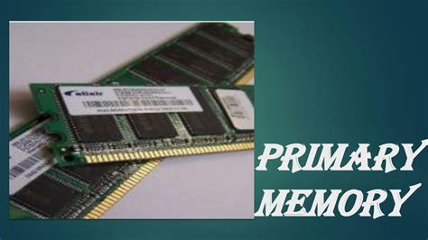 Primary Memory 的图像结果