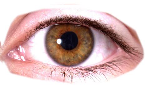eye makeup png