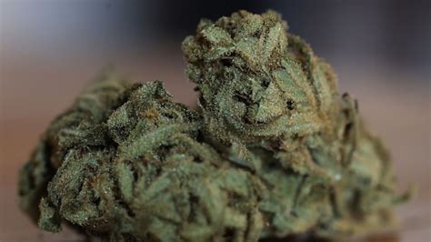 Amendment 3 supporters condemn Florida’s alleged $50 million taxpayer ...