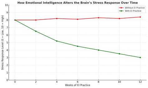 Emotional Intelligence to Prevent Burnout in High-Stress Careers