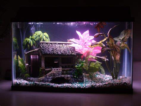 10 Gallon Aquarium Heater - Rin Aquarium Fish