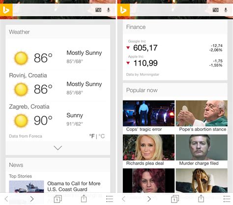 Mac iOS Bing 的图像结果