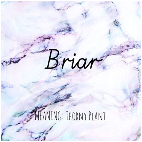 BRIAR #Names #Briar #BabyNames | Names, Pretty names, Names with meaning