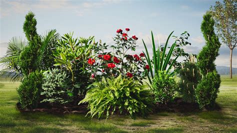 Plants & Foliage Stock Footage Collection | ActionVFX