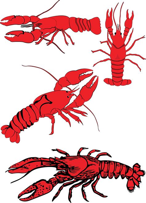 Crawfish, Cut File, Clip Art, SVG, Cricut, Silhouette Cameo, Scanncut ...