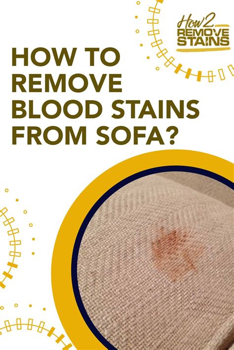 How to remove blood stains on the sofa – Artofit