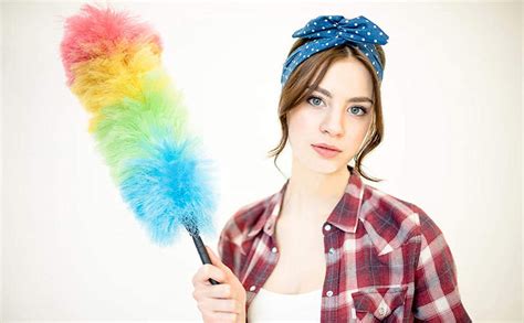 KitchenFest® Long Multipurpose Microfiber PP Static Duster for Glass ...