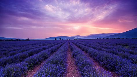 Nature HD PC Wallpaper 4K 的图像结果