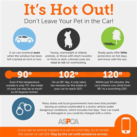 Are Dogs Uncomfortable During Heat? Signs And Safety Tips