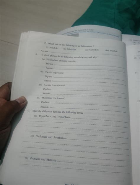 To which phylum do the following animals belong and why? (a) Plasmodium