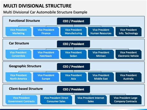 Multidivisional Structure 的图像结果